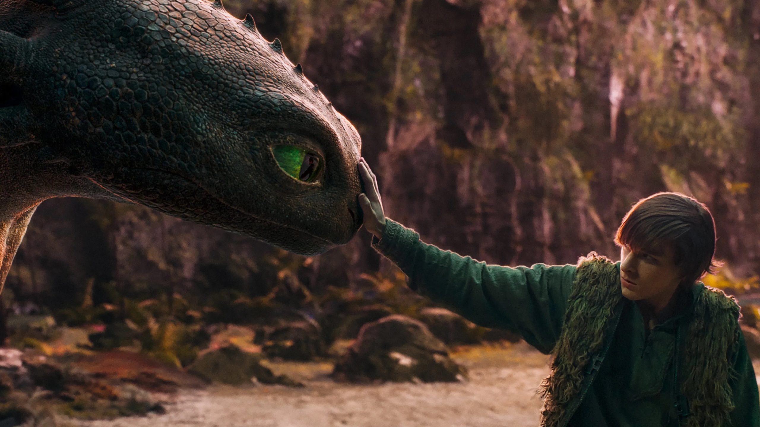 Dragon Trainer