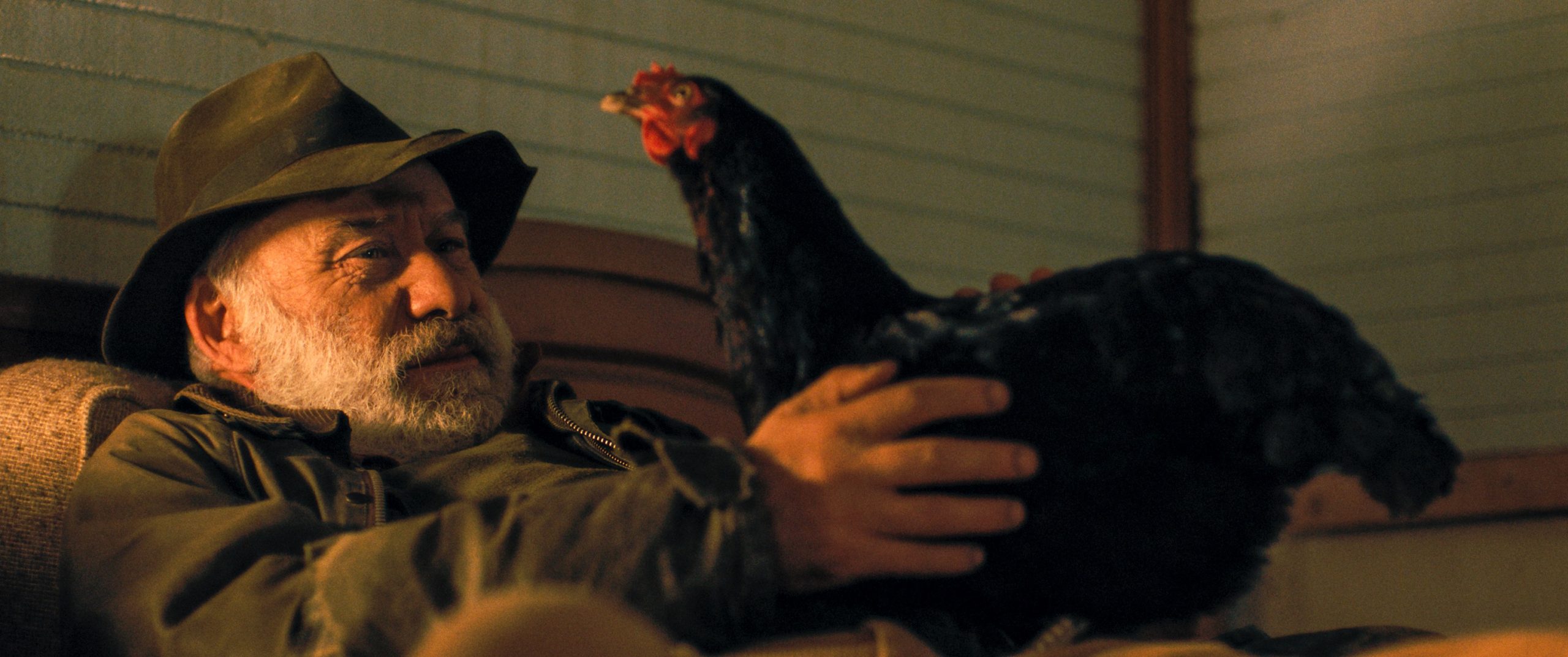 Hen – Storia di una Gallina